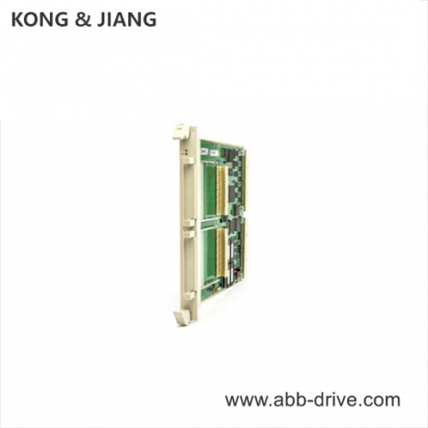 ABB 3BSE003816R1: Industrial Control Module Carrier